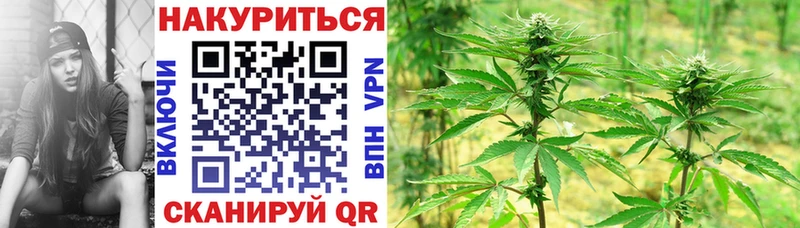 Купить закладки  Данков  Бошки марихуана сатива 